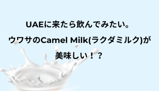 UAEに来たら飲んでみたい。ウワサのCamel Milk(ラクダミルク)が美味しい！？