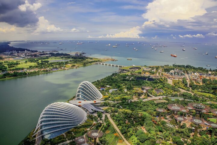 singapore, flower dome, beautiful flowers-5817283.jpg