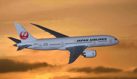 【政府専用機の見学】JAL Sky Museum