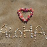 aloha, flower background, sand-305853.jpg