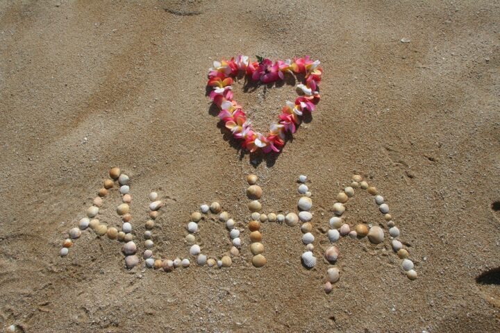 aloha, flower background, sand-305853.jpg