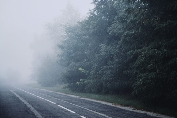 fog, nature, road-6696312.jpg