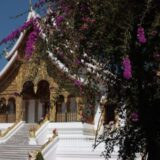 asia, temple, laos, laos, laos, laos, laos, laos-180600.jpg