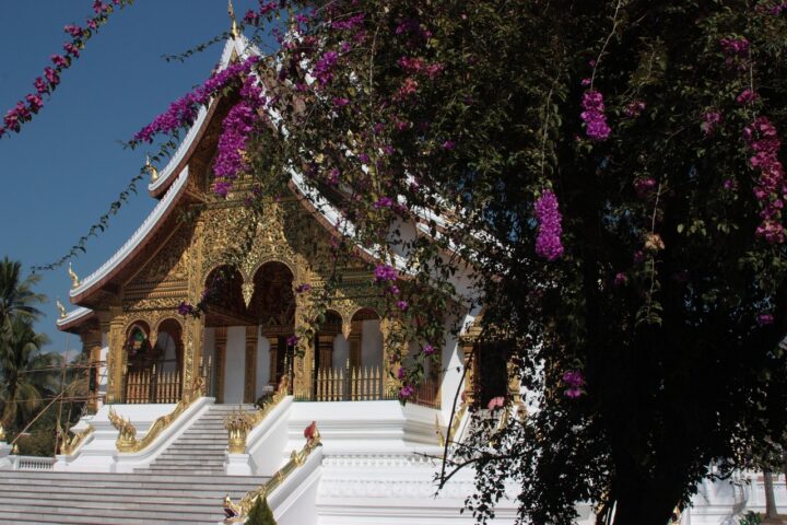 asia, temple, laos, laos, laos, laos, laos, laos-180600.jpg