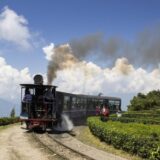 darjeeling, himalayan, railway, toy, train, steam, vehicle, wagons, toy train, transportation, rails, trains, rail, smoke, india, travel, historic, darjeeling, darjeeling, darjeeling, darjeeling, darjeeling-197611.jpg