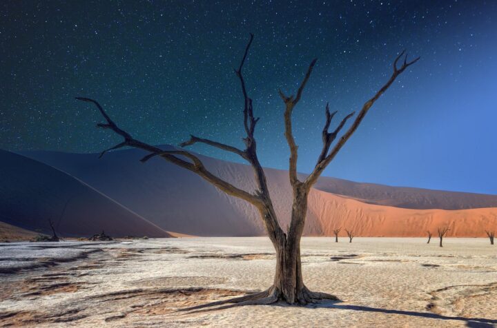 namibia, deadvlei, panorama, acacia, landscape, africa, tree, dune, sand, desert, nature, dry, travel, day, night, namibia, namibia, africa, africa, africa, desert, desert, desert, desert, desert-4820682.jpg
