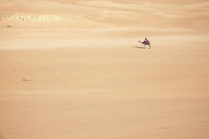 sand, camel, desert, cairo, egypt, africa, desert ship, sand dune, sahara, nature, drought, expanse, camel driver, horse riding, adventurer, adventure-3223302.jpg