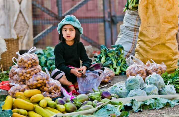 morning market, child selling, myanmar, market, asia, morning, food, burma, culture, people, tourism, vegetable, myanmar, myanmar, myanmar, myanmar, myanmar, market, burma, burma, burma-2140892.jpg